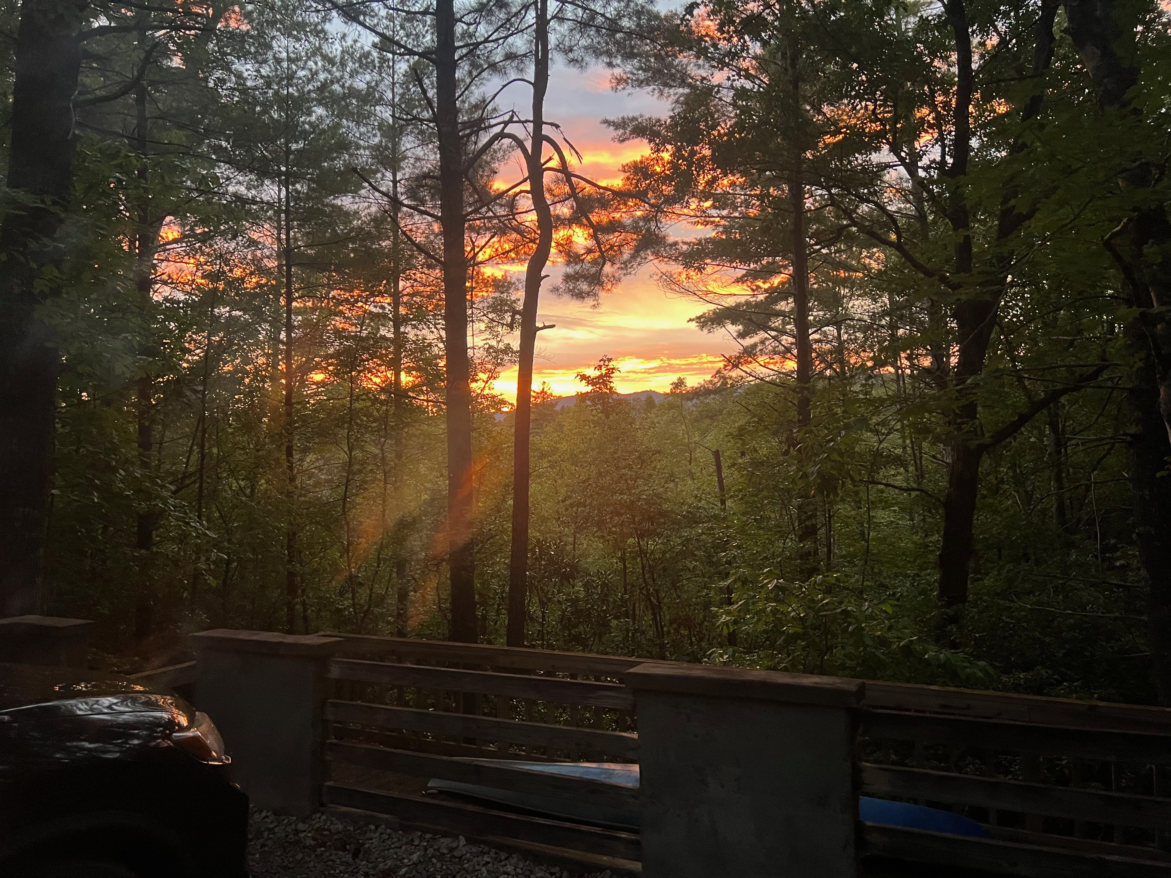 Kalmia Woods property photo