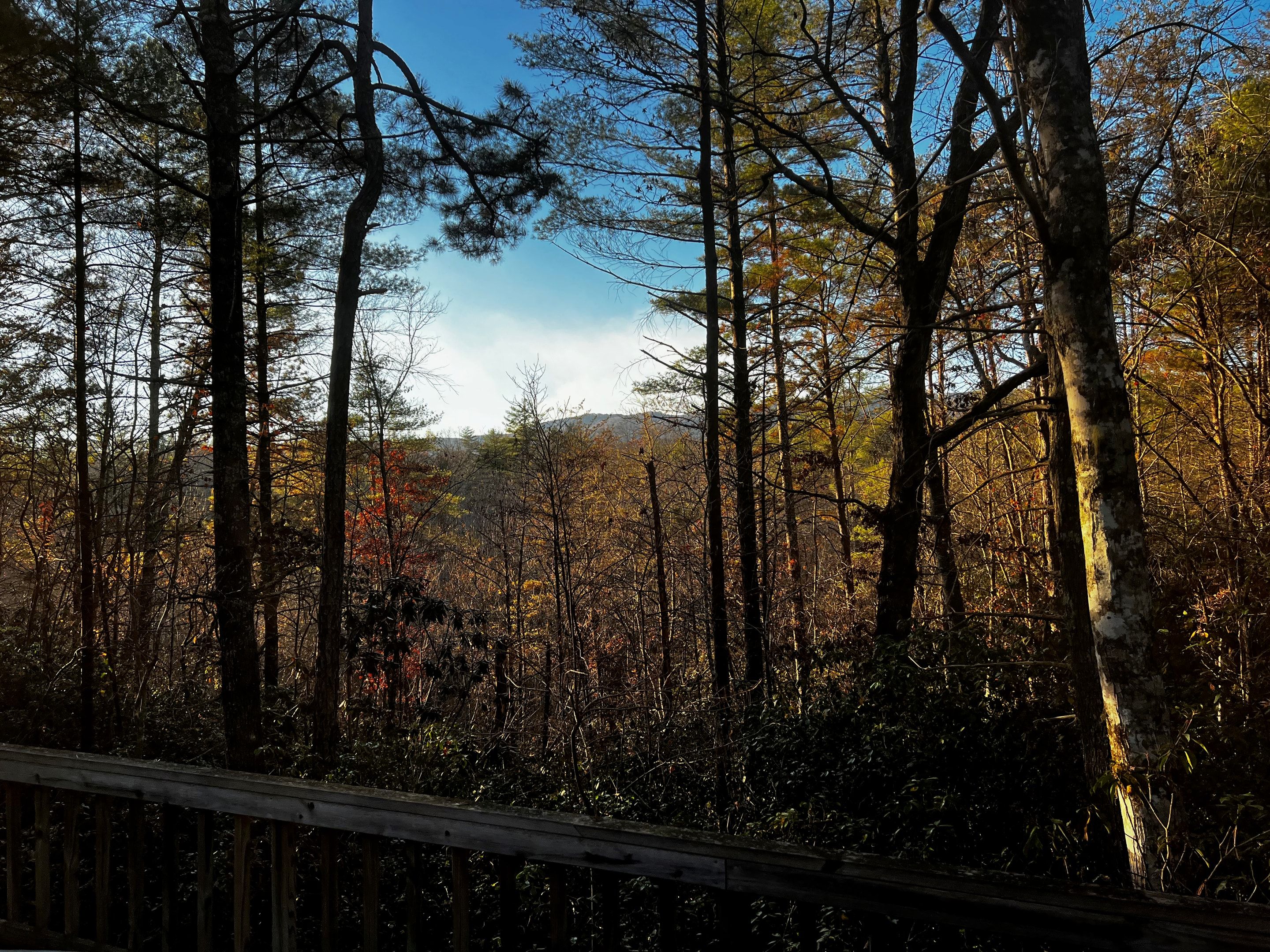 Kalmia Woods property photo