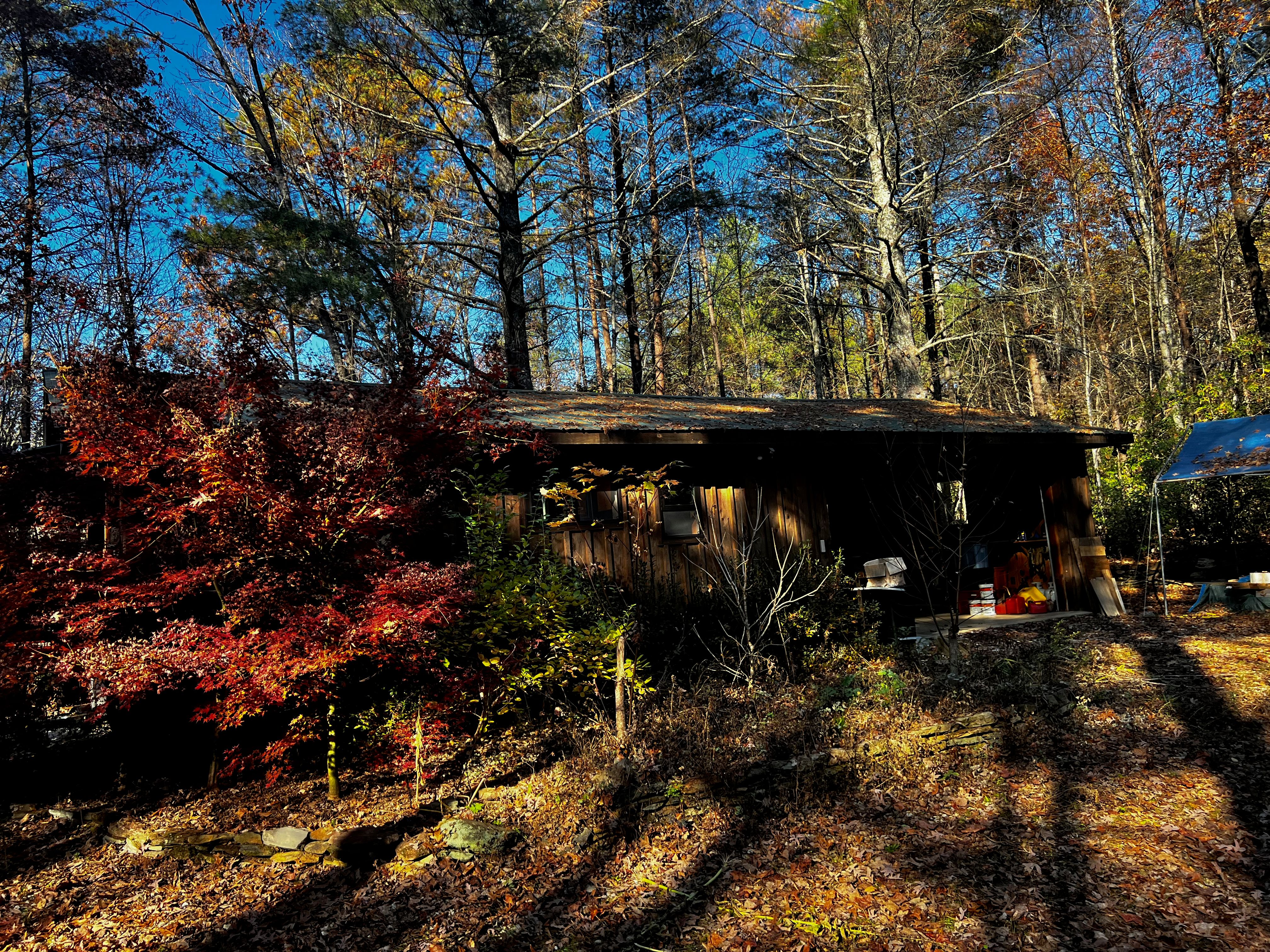 Nature's Haven room at Kalmia Woods